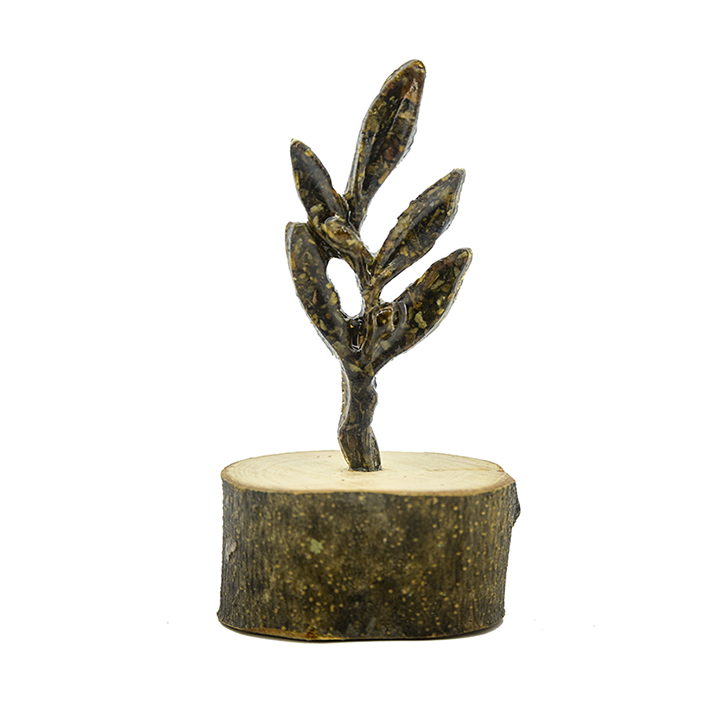 olive twig piece of nature regeneracy