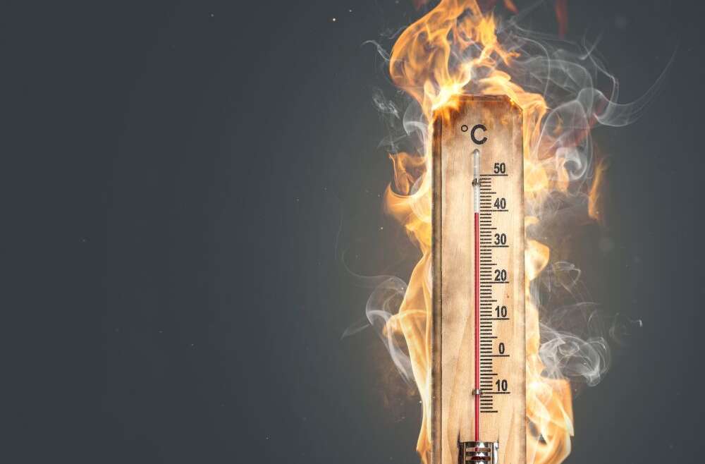 Climate Crisis