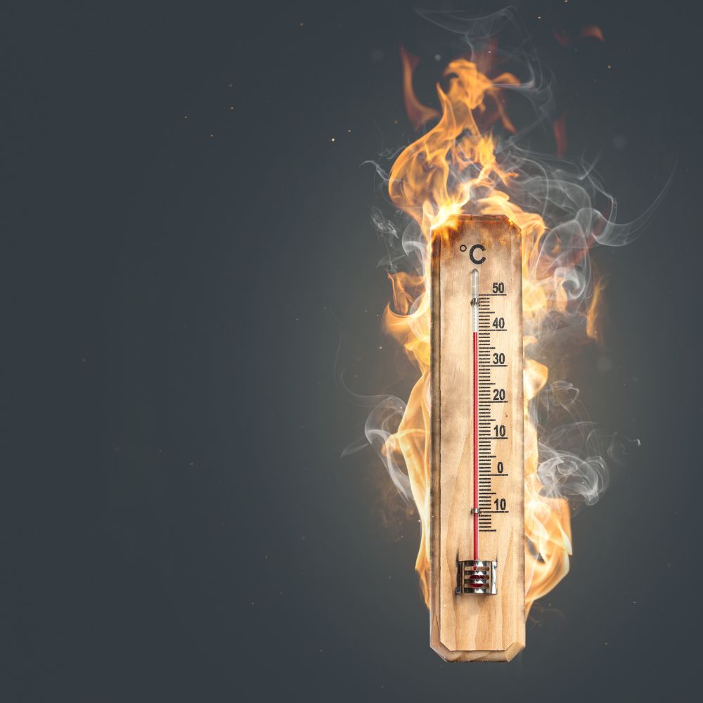 Climate Crisis
