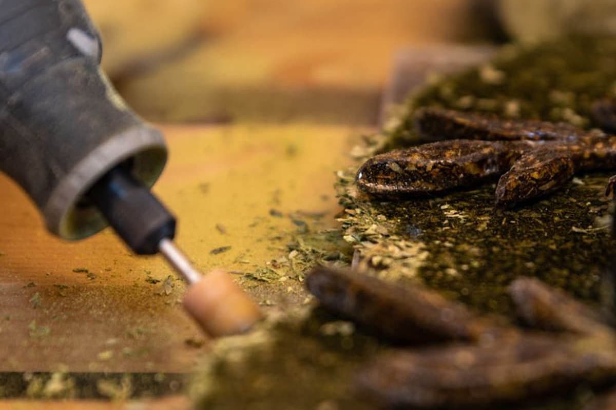What Is Upcycling and Why It Matters